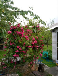 ��������� ������� 86-� ������, ���, ����������, ��������, �. �������� ���� 4