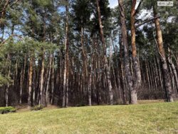 Продається будинок Київ, Дарницький, Бортничі, Лісна вул., 15, м. Бориспільська фото 4 Продається будинок Київ, Дарницький, Бортничі, Лісна вул., 15, м. Бориспільська фото 4