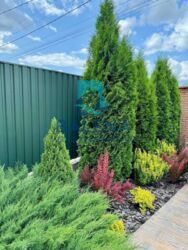 Бориспіль, вул. Старокняжницька, 26 фото 10 Бориспіль, вул. Старокняжницька, 26 фото 10