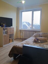 ��������� ������� ������� �������� ���. (������), 42/1, ���, ����������, �������� ���� 17