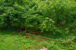 Продається будинок Київ, Дарницький, 139-а Садова вул., 14, м. Осокорки фото 4 Продається будинок Київ, Дарницький, 139-а Садова вул., 14, м. Осокорки фото 4