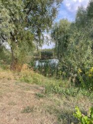 ��������� ������� ����������, ��������, �����������, ������� ���� 9