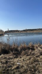 ��������� ������� ������� ���� 12