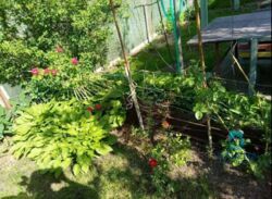 ��������� ������� 86-� ������, ���, ����������, ��������, �. �������� ���� 11