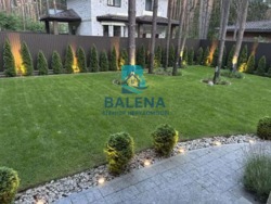 Продається будинок Київ, Дарницький, Бортничі, Лісна вул., 11, м. Бориспільська фото 59 Продається будинок Київ, Дарницький, Бортничі, Лісна вул., 11, м. Бориспільська фото 59