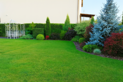 Продається будинок Київ, Дарницький, Бортничі, Крута, 21, м. Бориспільська фото 6 Продається будинок Київ, Дарницький, Бортничі, Крута, 21, м. Бориспільська фото 6