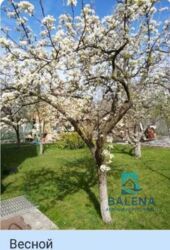 ��������� ������� 86-� ������, ���, ����������, ��������, �. �������� ���� 18