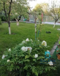 ��������� ������� 86-� ������, ���, ����������, ��������, �. �������� ���� 16