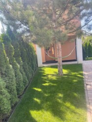 ��������� ������� ���, ���������� ���� 14