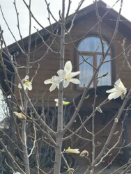 Продається будинок Київ, Дарницький фото 2 Продається будинок Київ, Дарницький фото 2