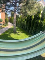 ��������� ������� ���, ���������� ���� 16