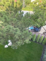 ��������� ������� ���, ���������� ���� 9