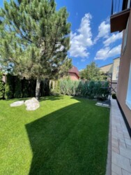 ��������� ������� ���, ���������� ���� 18