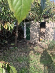 ������ ��� ��� ������ �� �������� ���� 11