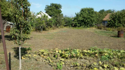 ��������� ������� ������������, ����������� (���������), ������� ���� 14