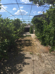 ��� � ���� �������� � ����. ���� 8