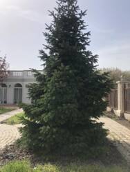 � ������� ����������� ��� � ����������� ���� 10