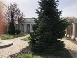 � ������� ����������� ��� � ����������� ���� 16