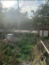 ������ ��� ��� ������ �� �������� ���� 5