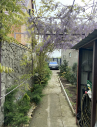 ������� ���� � ������������� ���� 5