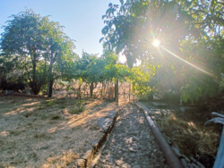 ������� ���� ������������� ���� 13