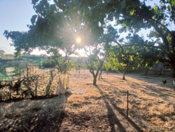 ������� ���� ������������� ���� 2