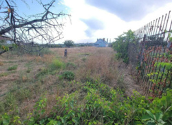 ������� ���� ������������� ���� 6