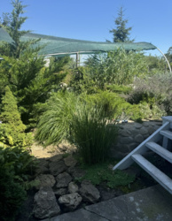 ������� ���� � ������������� ���� 15