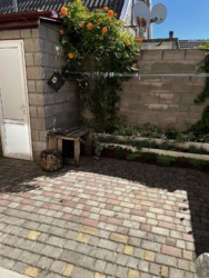 �������� � ������������� ���� 6