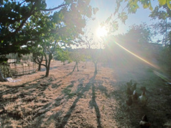 ������� ���� ������������� ���� 19