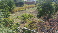 ��������� ������� ������������, ����������� (���������), ������� ���� 7