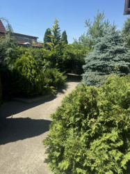 ������� ���� � ������������� ���� 11