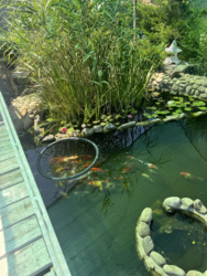 ������� ���� � ������������� ���� 2