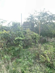 ������ ��� ��� ������ �� �������� ���� 7