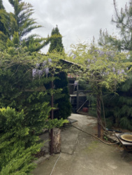 ������� ���� � ������������� ���� 3