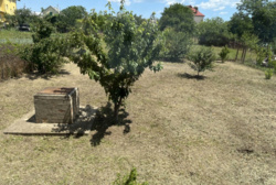 ������� ���� ������������� ���� 10