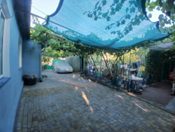 ������� ���� ������������� ���� 12