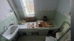 ������� � �. ��������: ���, ����� �� ����� ���������� �� ������. ĳ����� 21 ��� ���� 12