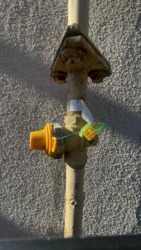 ������� � �. ��������: ���, ����� �� ����� ���������� �� ������. ĳ����� 21 ��� ���� 11