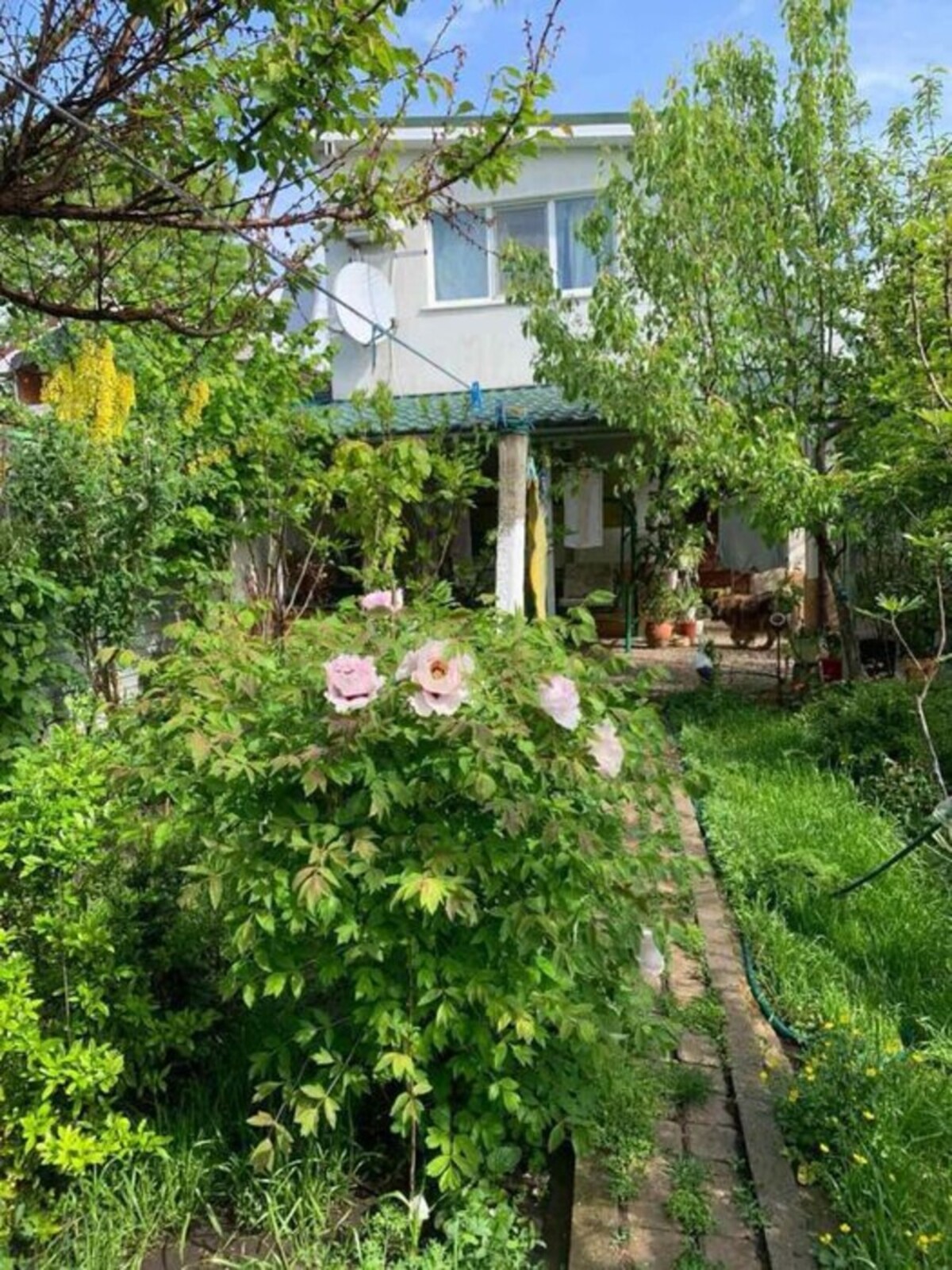 Продается дом р-н Дальние Мельницы, Одесса, Одесская, Малиновский фото 1 Продается дом р-н Дальние Мельницы, Одесса, Одесская, Малиновский фото 1
