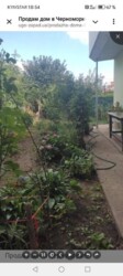 Продается дом Черноморка 14 станция, Одесса, Одесская, Киевский фото 4 Продается дом Черноморка 14 станция, Одесса, Одесская, Киевский фото 4