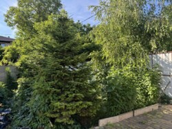 Продается дом Одесса, Одесская, Приморский фото 6 Продается дом Одесса, Одесская, Приморский фото 6