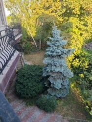 Продается дом Большая Садовая - Приморье, Одесса, Одесская, Малиновский фото 3 Продается дом Большая Садовая - Приморье, Одесса, Одесская, Малиновский фото 3