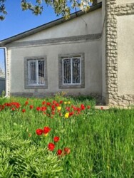 Продается дом Одесса, Одесская, Суворовский фото 18 Продается дом Одесса, Одесская, Суворовский фото 18