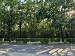 Продается дом Одесса, Одесская, Приморский фото 2 Продается дом Одесса, Одесская, Приморский фото 2