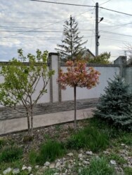 Продается дом Одесса, Одесская, Суворовский фото 5 Продается дом Одесса, Одесская, Суворовский фото 5