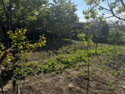 Продается дом Одесса, Одесская, Приморский фото 5 Продается дом Одесса, Одесская, Приморский фото 5