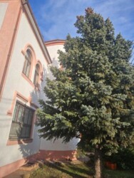 Продается дом Одесса, Одесская, Киевский фото 11 Продается дом Одесса, Одесская, Киевский фото 11