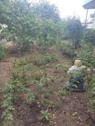 Продается дом Черноморка 14 станция, Одесса, Одесская, Киевский фото 2 Продается дом Черноморка 14 станция, Одесса, Одесская, Киевский фото 2
