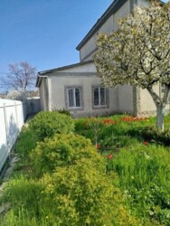 Продается дом Одесса, Одесская, Суворовский фото 20 Продается дом Одесса, Одесская, Суворовский фото 20